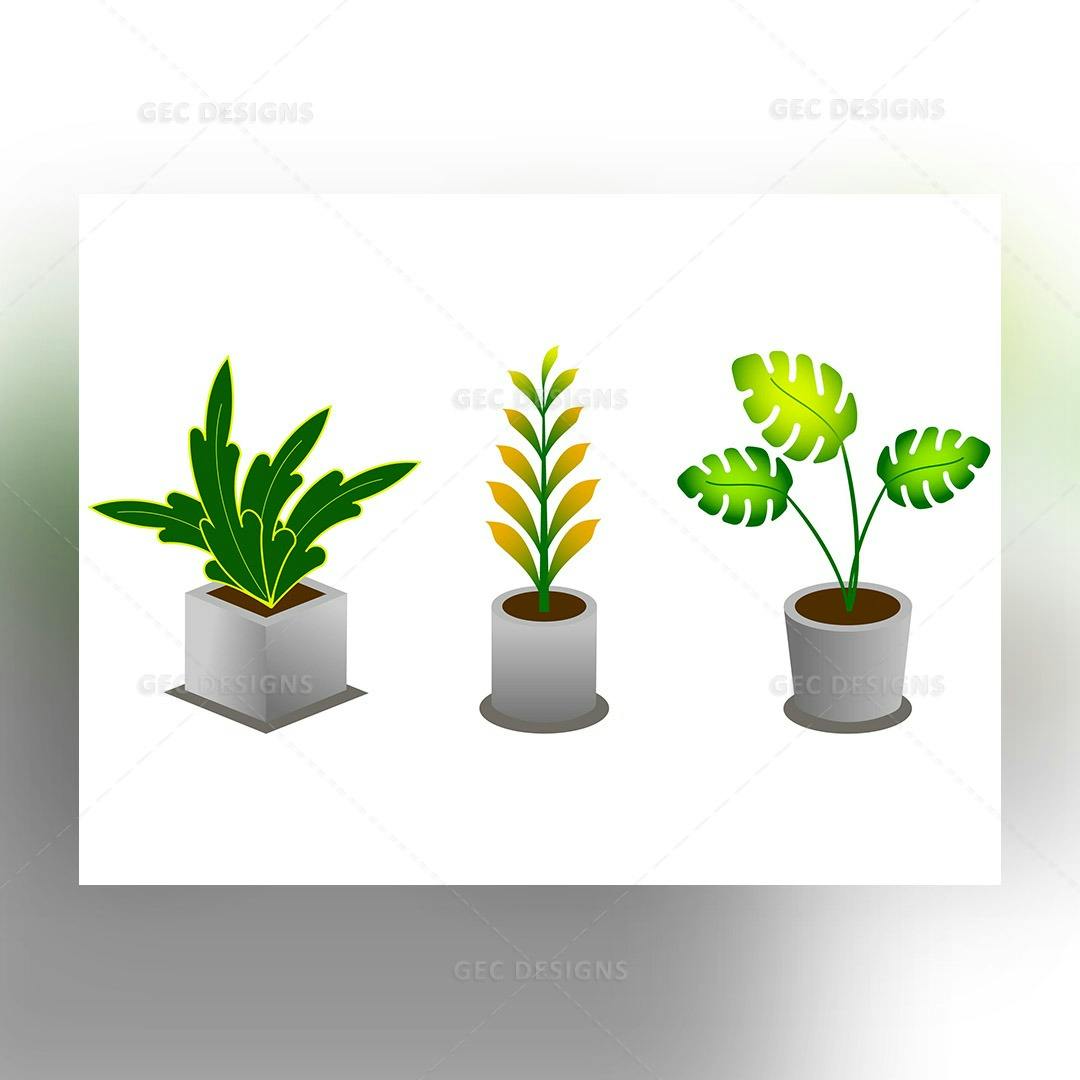 Set of Indoor potted plants vector image #002
